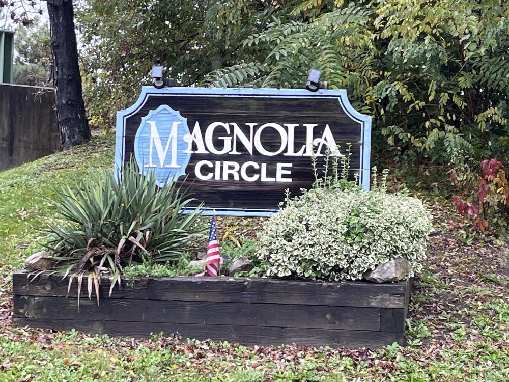 Magnolia Circle closed to traffic for spooky yet safe Halloween